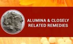 alumina similar remedies
