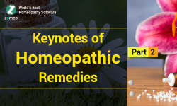 Keynotes-Homeopathy-remedy-Blog