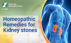 Kidney Stone