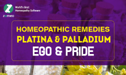 Ego & Pride - Platina and Palladium