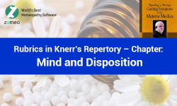 Knerr's Repertory - Mind Rubrics