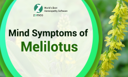 Melilotus